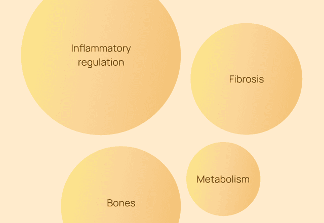 Top Aging Factors